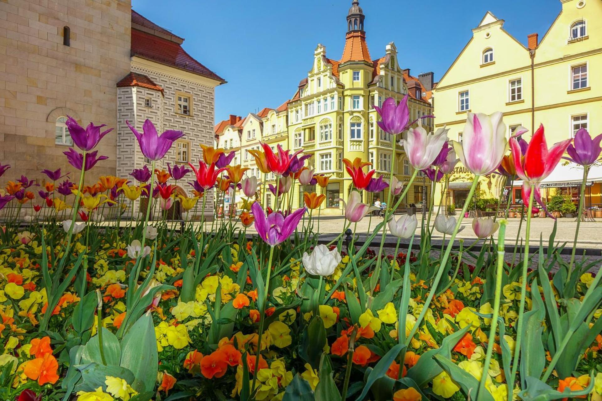Apartament Przy Starowce - Zoni Boleslawiec  Esterno foto